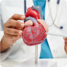 Institute Of Cardiology