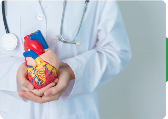 Institute Of Cardiology